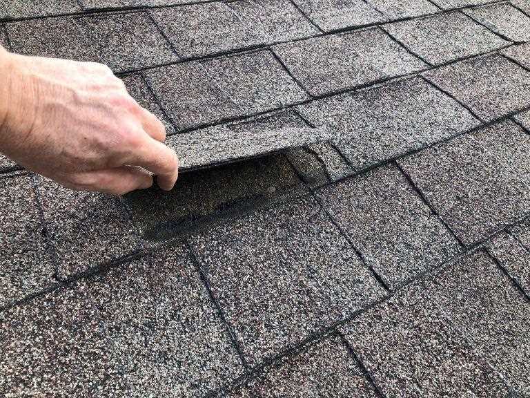 A shingle is being lifted showing damage