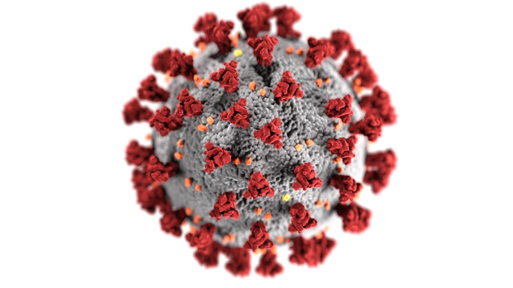 Image of a coronavirus molecule