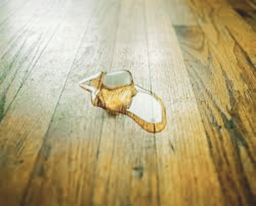 Ice cube melting on a hardwood floor