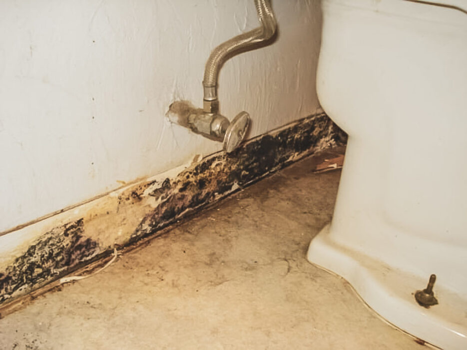 Water damage and mold on the wall behind a toilet