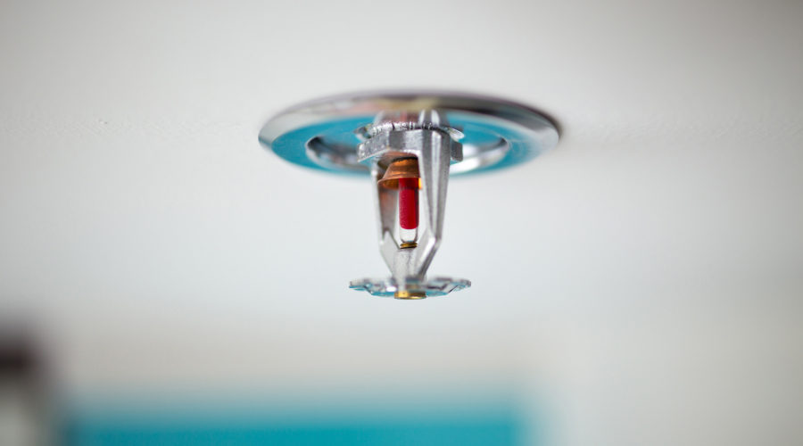 Fire sprinkler head