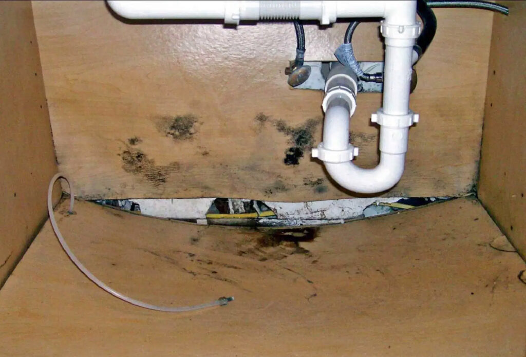 Water damage under a sink damages wood and can grow mold