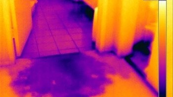 Thermal imaging can help detect the path of the water flow
